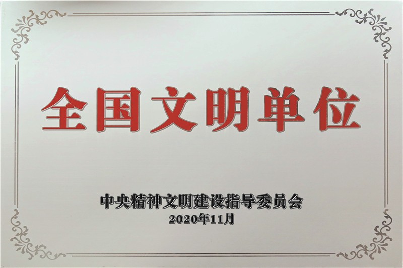 1757641869782358.jpg